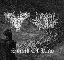 Harlot Nymph : Sound of Raw